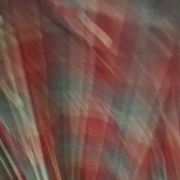 NWT Timberland Red and Gray Plaid Button-Up Shirt - Picture 5 of 8